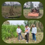 मुख्यमंत्री के विज़न के तहत सरकारी भूमि से अतिक्रमण हटाने की कार्रवाई, बसवाखेड़ी में 0.1740 हेक्टेयर भूमि कराई गई मुक्त