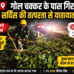 गोल चक्कर रुड़की के पास सड़क पर गिरा पेड़, फायर सर्विस ने तत्काल हटाकर यातायात कराया सुचारु